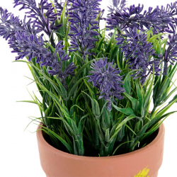 FLOR LAVANDA LILA